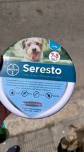 Bayer Seresto-Collar de prevención de pulgas y garrapatas para perros, auténtico, Original, 8 meses