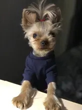 Ropa de perro de moda ropa de invierno para perros pequeños perros mediano chaqueta de abrigo Chihuahua ropa para mascotas para pequeño mediano perros Carlino