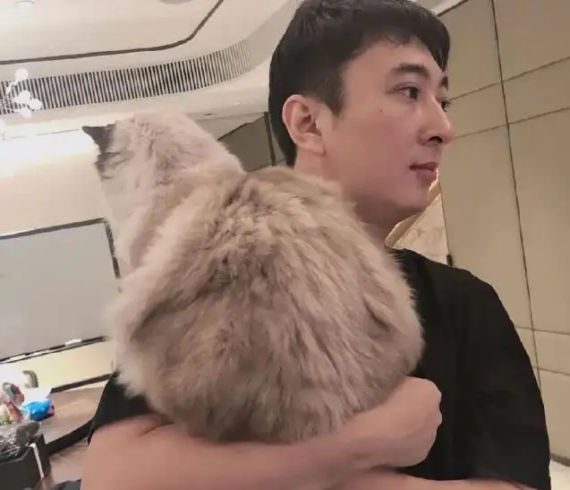 王思聪新恋情曝光