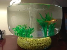 Bandeja de Nano burbujas para acuario, accesorios de bomba de oxígeno, bandeja para ARENA, bomba de aire, piedra