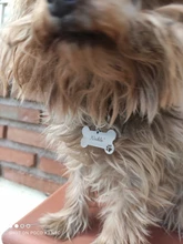Anti-perdido personalizado Pet ID Tag perro Collar de identificación de mascotas nombre de gato para gato Collar de cachorro etiqueta colgante accesorios Collar mascotas