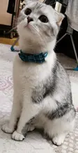 Collar de cuadros coloridos para perros pequeños, lazo de algodón a rayas con nudo para Bulldog, Chihuahua, pajarita para cachorros y gatos, Bandana de fiesta