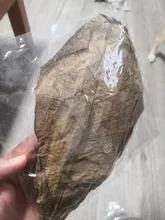 Betta Fish Shrimp Aquarium Almond-Leaves Natural Indian 10pcs Habitat Terminalia Kill-Bacteria