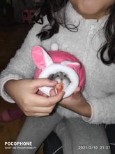 Pet-Cage Nest Hamster-Accessories House Small Animal Rat/hedgehog Cotton for Winter Warm