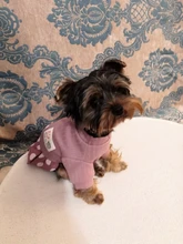 Dog-Dress Dogs-Skirt Yorkshire Summer Chihuahau Dot 