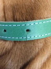 Leash-Set Pet-Collar Free-Engraved-Nameplate Dogs Small Custom Personalized for Medium