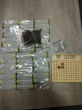 Kit completo de sistema de cría de Reina, Caja de cultivo king, de plástico, celdas de abeja, abejas, tazas, caja, proveedor de Herramientas de Apicultura