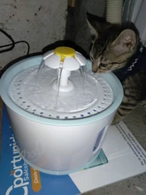 Container Dispenser Water-Level-Display Cats-Drink Dogs Automatic-Water-Feeder Electric