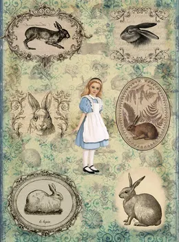 

Rice paper for Decoupage "" craft Premier "", A3, 25 g/m, "Alice" cpd0580