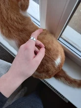 Anillos de plata de ley 925 sencillos y creativos, joyería no alérgica, con carácter redondo, moda Popular, anillos de apertura SR209