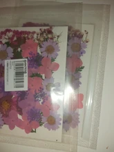 Pegatinas de flores naturales de resina UV para decoración de joyas, adhesivos de belleza seca para Resina epoxi DIY, 1 paquete