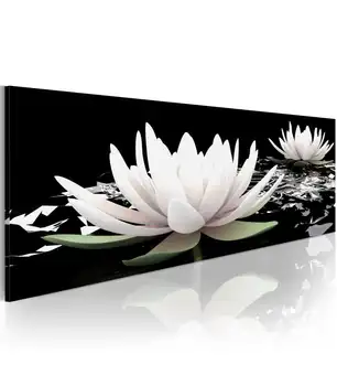 

Picture-journey of lilies