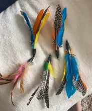 Cat-Wand Refill Pet-Products Replacement-Head Interactive Training 5pcs/Lot Play Random