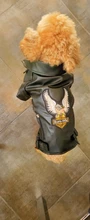 Jacket Dog-Coat Puppy Eagle-Pattern Waterproof Outdoor Outerwear Pet Small Soft Fashion
