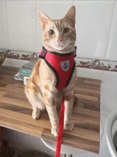 Arnés ajustable para perros y gatos, correa de plomo para pasear, collar para cachorros de malla de poliéster, medianos y pequeños