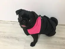 Vest Jacket Pets-Clothing Pug-Coat Puppy Dogs French Bulldog Waterproof Small Winter