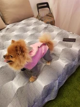 Mono impermeable para perro mascota, ropa impermeable para exteriores, mono con capucha para perros pequeños y grandes, capa impermeable, Bulldog francés