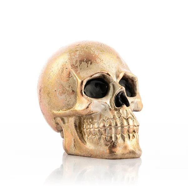 Shiny Skull Money Box