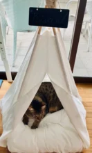 Tipi de Gato con cojín y pizarra para perros, carpa portátil para perros y casas de mascotas, tienda plegable de lona de madera para mascotas, cama para animales pequeños