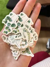 45 unids/pack, las plantas frescas papelería etiqueta adhesiva álbum de recortes diario decoración Etiqueta de sello de papel