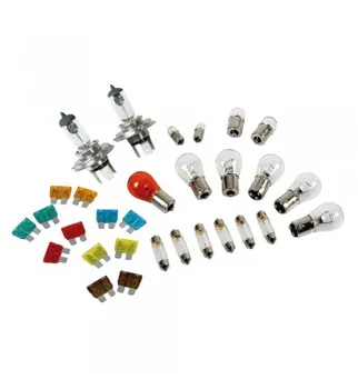 

LAMPARAS case H4 24V (30 PCs)