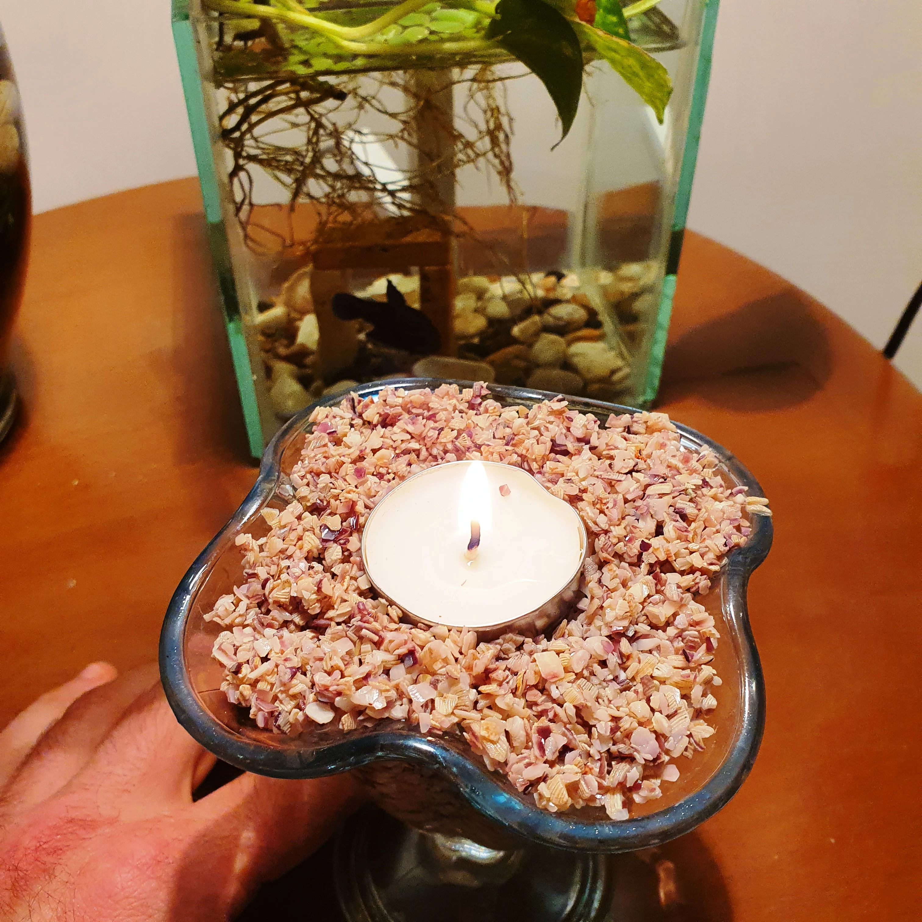 

Crashed mussel soil 1-3 mm 490-500 gram good for such Cryptocoryne aquarium plants decorative aquarium soil 1-3 mm 490-500 gram