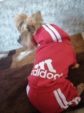 Traje para mascotas pequeñas y medianas, mono para cachorros, ideal para bulldog francés, chihuahua o pug