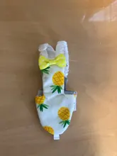 Pájaro loro pañal Cockatiel palomas mascota mediana grande aves traje de vuelo ropa mascotas pájaros heces bolsillo