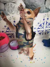 Ropa de invierno para mascotas, atuendo con chaleco cálido para perros pequeños, abrigo para perro, Chihuahua acolchado, a prueba de viento, 20