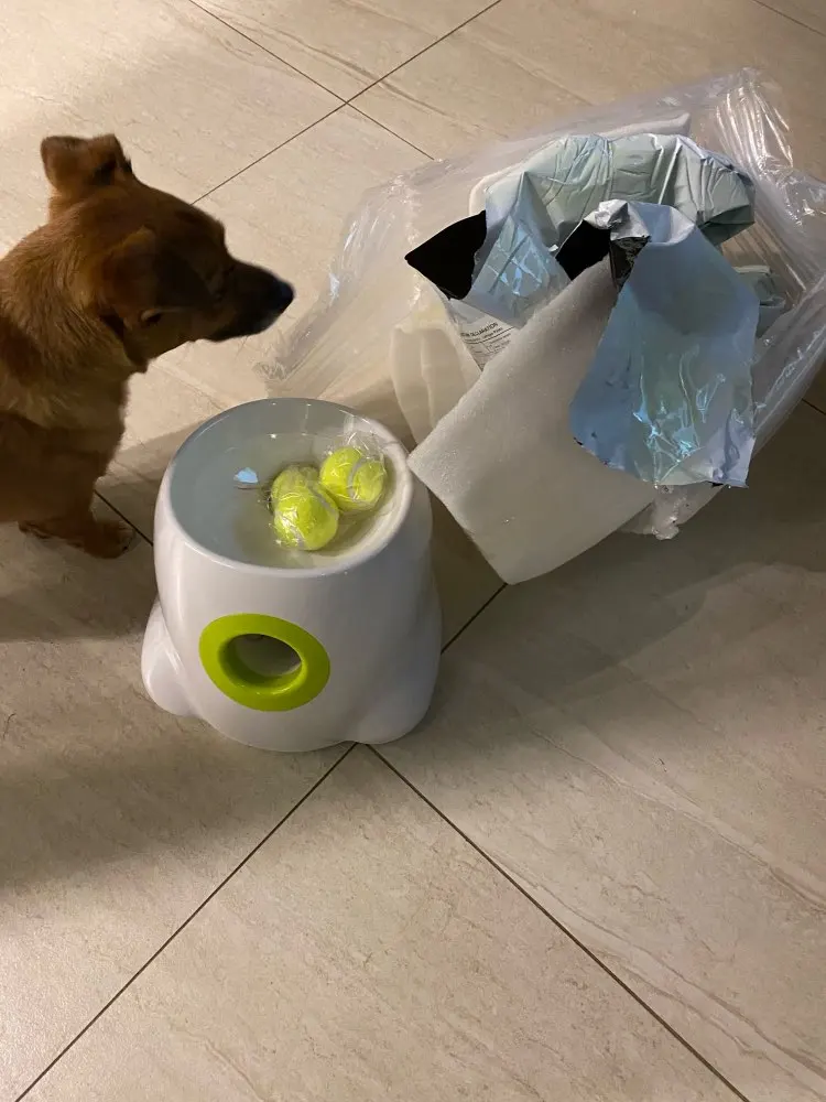 Fetchly Automatic Tennis Ball Launcher