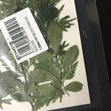 Bolsa de flores secas arte Floral molde de resina Epoxy