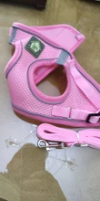 Arnés para gato de malla de nailon, chaleco reflectante para perro, conjunto de arnés y correa para Chihuahua, Pug, correa de plomo pequeña y mediana para caminar
