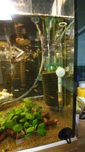 Tubo de alimentación de cristal para acuario, plato de Pez transparente, camarón, Caracol, accesorios de alimentación, 6 tamaños