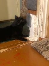 Self-Groomer-Toy Massage-Device Cat Catoy Pet-Cat with for Hair-Removal-Brush Dogs Comb