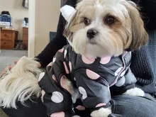 Dog Overalls Clothing Puppy Winter Coat Hoodie Pet-Dog Cotton Thicken Dot for Small Big-Polka-Dot