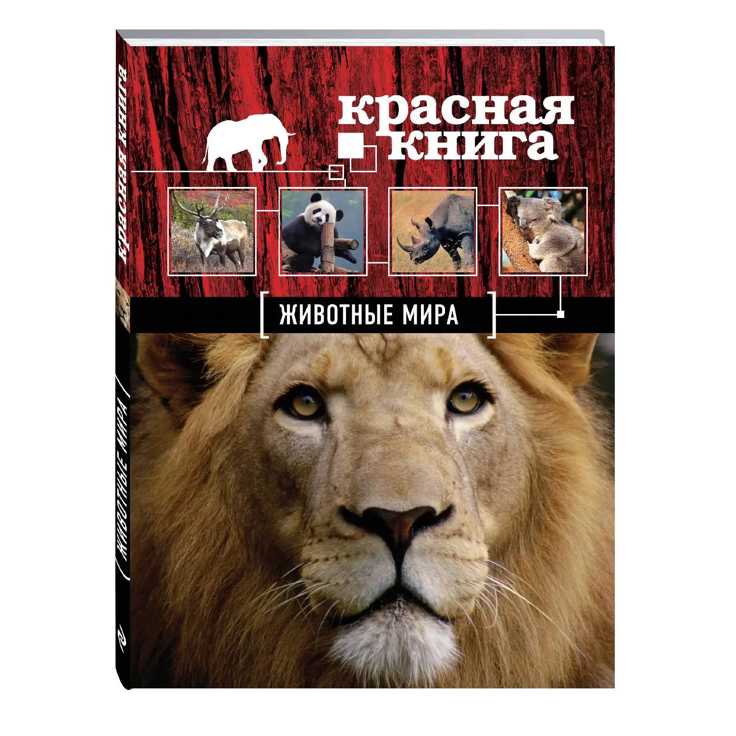 Красная книга. Животные мира. Оксана Скалдина, Евгений Слиж