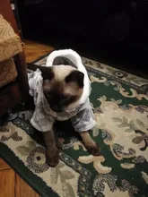 Autumn Winter Warm Pet Cat Costume for Cats Soft Fleece Dog Cat Clothes Kedi Katten Mastomas