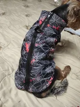 Puppy Vest Coat Clothing Jacket Dogs Chihuahua Waterproof Large Winter Medium Pet-Dog