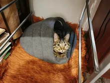 Dog-Bed House Products Pets-Cushion Slippers-Style Winter Cat Soft for High-Quality Pet-Dog