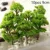 Trees Model Train Railroad Decor Scenery Landscape HO-OO Scale Building Static Grass Tufts Miniature Scenery Wildflowers Flower 