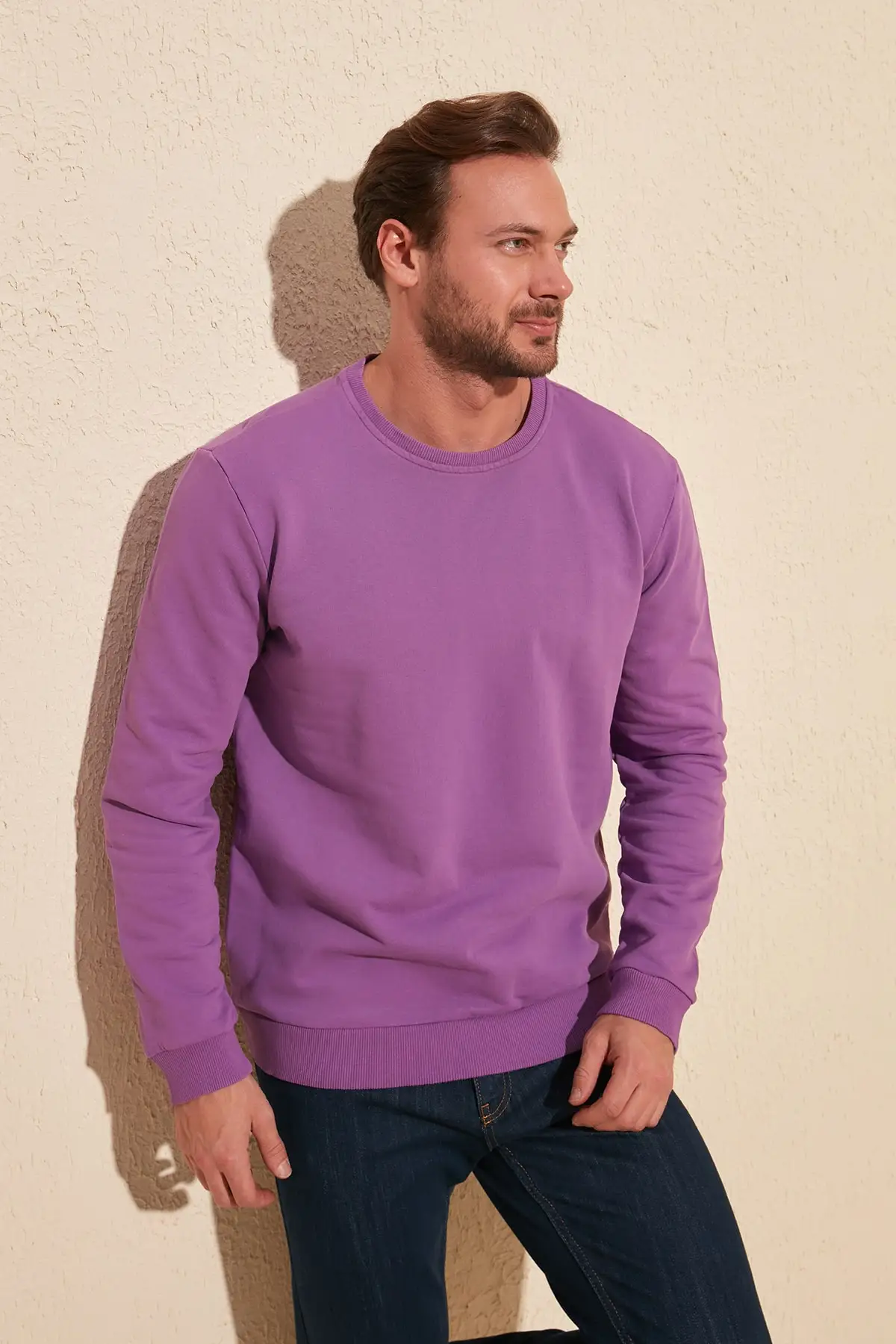 Трендовая сиреневая Мужская Базовая Толстовка с длинным рукавом и воротником
