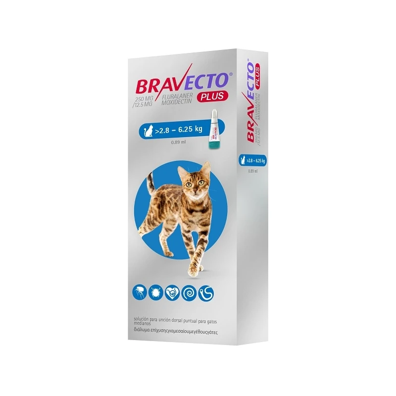 bravecto 250 mg cat