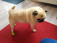 Elastic Bandage Tape Athletic-Wrap Sports-Protector Self-Adhesive Knee-Finger Colorful