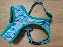 Arnés con estampado bonito para Chihuahua, Bulldog Francés, ajustable, para cachorro, gato, chaleco para perro pequeño para Pug, Yorkie, entrenamiento para caminar