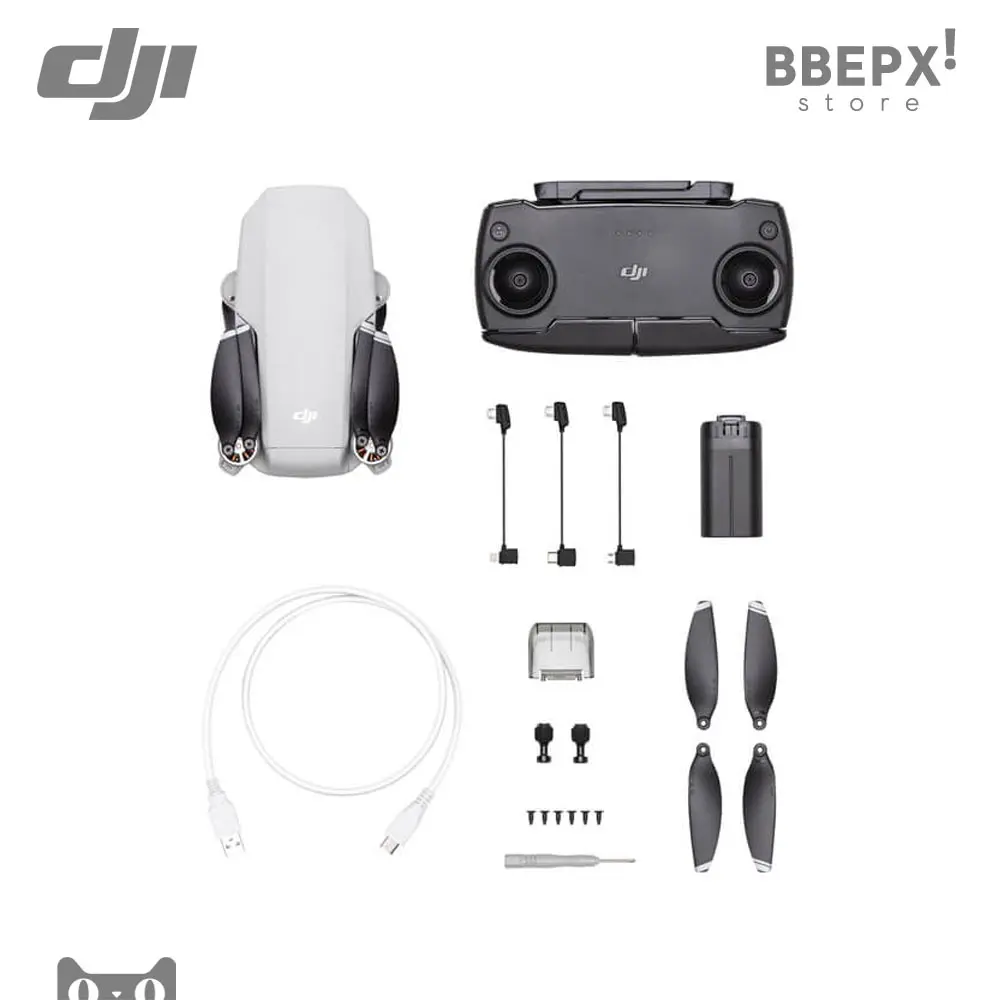 Квадрокоптер DJI Mavic Mini- The Everyday FlyCam EU CE MT1SD25 MR1SD25 Коптер Дрон Набор Аккум Пульт Мавик Мини 249 гр