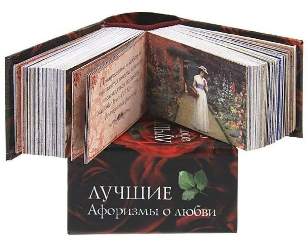 Рисунок 3 - Современная русская мини-книга 2011