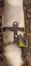 Pet-Harness Truelove Walk Padded Seat-Belt Handle Reflective-Dog Adjustable Small Soft