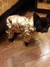 Jacket Clothing Puppy Small Dogs Waterproof Winter Overalls Pet-Coat Dog-Jumpsuit Fleece