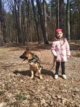 Bungee-Leash Collar German Shepherd Dogs Elastic Military Tactical Nylon for Large