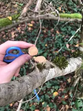 NICEYARD-Sierra de alambre para supervivencia, mango de acero inoxidable emergente para cortar Fretsaw, caza al aire libre, herramienta de mano para peces
